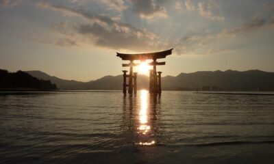 Goldman Sachs Alpha Enhanced Japan Equity Active UCITS ETF JPY (Acc) (GQJY ETF) med ISIN IE000ZUTO1I5, är en aktivt förvaltad börshandlad fond.
