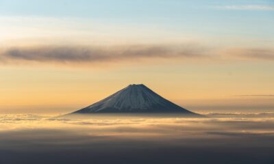iShares MSCI Japan SRI UCITS ETF EUR Hedged (Acc) (CEME ETF) med ISIN IE000QWO5FT3, syftar till att följa MSCI Japan SRI Select Reduced Fossil Fuels (EUR Hedged) index. MSCI Japan SRI Select Reduced Fossil Fuels (EUR Hedged) index följer japanska aktier och beaktar endast företag med mycket höga miljö-, sociala och styrningsbetyg (ESG) i förhållande till sina sektorjämförelser, för att säkerställa att de bästa företagen inkluderas ur ett ESG-perspektiv och undvika företag som är oförenliga med värderingsscreening eller har exponering mot fossila bränslen genom utvinnings- och produktionsaktiviteter, kraftproduktionsaktiviteter eller reservägande.