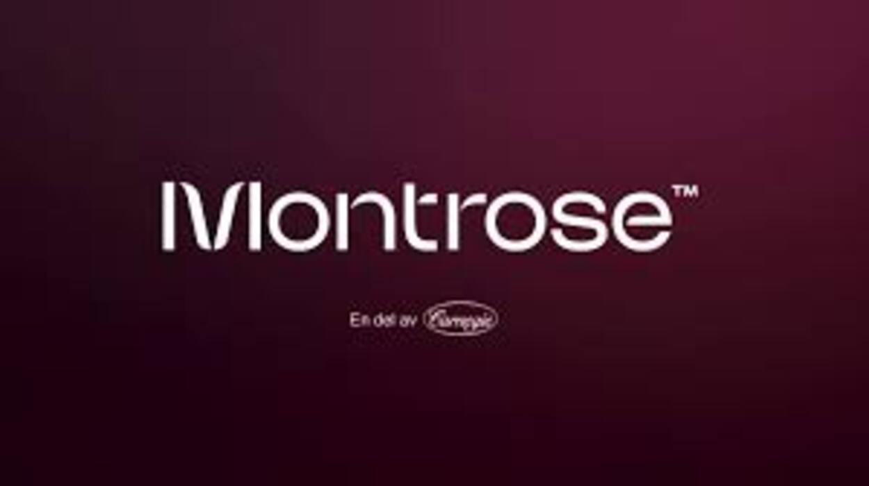 Idag fastställdes utdelningen i MONTDIV juli 2025. Montrose Global Monthly Dividend MSCI World UCITS ETF (MONTDIV ETF) fastställdes till 0,42802 kronor per andel. Utdelningen i MONTDIV juli 2025 beräknas betalas ut den 12 augusti 2025.