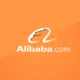 IncomeShares Alibaba (BABA) Options ETP (BABY ETP) med ISIN XS3068774887, är en aktivt förvaltad ETP. Den börshandlade fondens strategi är att köpa Alibaba-aktier och sälja "out-of-the-money" (OTM) och "in-the-money" (ITM) säljoptioner på dessa aktier för att generera premier.