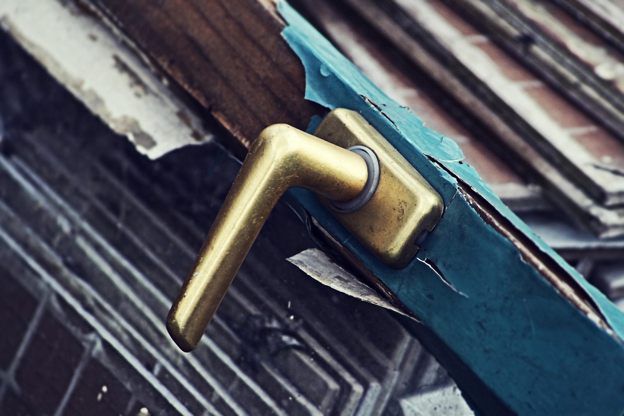 Franklin Global Quality Dividend UCITS ETF USD Accumulation (DVDG ETF) med ISIN IE000ZZJ48Q0, syftar till att exponering mot högkvalitativa aktier med stort och medelstort börsvärde med hög och ihållande utdelning i utvecklade och tillväxtmarknadsländer globalt.