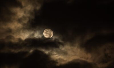 BNP Paribas Easy EUR Overnight UCITS ETF Dist (EDET ETF) med ISIN LU3025345789, syftar till att följa Solactive €STR Daily-indexet. Solactive €STR Daily-indexet följer utvecklingen av en insättning som genererar ränta till den kortfristiga euroräntan.