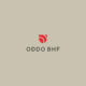 ODDO BHF Global Equity Active UCITS ETF EUR Acc (OBGE ETF) med ISIN IE0001O9L5K4, förvaltas aktivt och för att uppnå sitt investeringsmål kommer investeringsförvaltaren att investera i aktier eller andelar i kollektiva investeringssystem, såsom UCITS och ETFer (Target Funds), i enlighet med UCITS-förordningarna och centralbankens krav, i syfte att ge indirekt exponering mot en diversifierad global aktieportfölj. De målfonder som delfonden kan investera i kommer att vara etablerade i EU. Sådana ETFer kommer också att vara auktoriserade som UCITS.