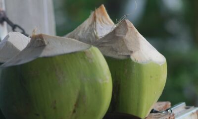 Invesco EUR AT1 CoCo Bond UCITS ETF Acc (ATEA ETF) med ISIN IE000FG3UNB8, syftar till att följa iBoxx® EUR Contingent Convertible Liquid Developed Markets AT1-indexet. iBoxx® EUR Contingent Convertible Liquid Developed Market AT1-indexet följer EUR-denominerade villkorade konvertibla obligationer utfärdade av europeiska banker i utvecklade länder med alla löptider.