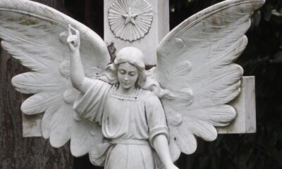 Invesco US High Yield Fallen Angels UCITS ETF Acc (HYFC ETF) med ISIN IE0009D6K2A2, syftar till att följa FTSE Time-Weighted US Fallen Angel Bond Select-indexet. FTSE Time-Weighted US Fallen Angel Bond Select-indexet följer amerikanska högavkastande företagsobligationer som har nedgraderats från investment grade.