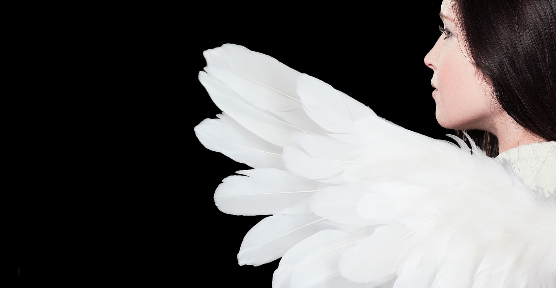 FinEx Fallen Angels UCITS ETF (FXFA ETF) med ISIN IE00BMDKNN44, har som investeringsmål att följa marknadsutvecklingen för referensindexet (enligt definitionen nedan) med avdrag för avgifter och kostnader. Fondens investeringspolicy är att sträva efter att följa utvecklingen för Solactive USD Fallen Angel Issuer Capped Index (eller något annat index som styrelsen från tid till annan beslutar att i huvudsak följa samma marknad som Solactive Fallen Angel Issuer Capped Index och som styrelsen anser vara ett lämpligt index för fonden att följa, i enlighet med prospektet ("referensindexet")) så nära som möjligt, samtidigt som man strävar efter att minimera skillnaden i utveckling mellan fonden och referensindexet i möjligaste mån.