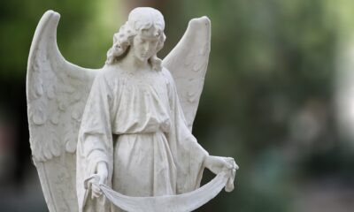 iShares Fallen Angels High Yield Corp Bond UCITS ETF EUR Hedged (Dist) (IBC7 ETF) med ISIN IE00BF3N7219, strävar efter att följa Bloomberg Global Corporate ex EM Fallen Angels 3% Capped (EUR Hedged) index. Bloomberg Global Corporate ex EM Fallen Angels 3% Capped (EUR Hedged) index följer globalt utvecklade högavkastande företagsobligationer som har nedgraderats från investment grade. Valutasäkrad till euro (EUR).
