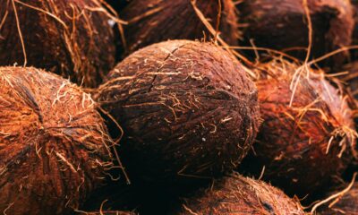 Invesco EUR AT1 CoCo Bond UCITS ETF (ATE1 ETF) med IE000VVC8KW9, strävar efter att ge aktieägaren en målavkastning kopplat till avkastningen för ett referensindex eller en referenstillgång genom att direkt eller indirekt köpa en portfölj av överlåtbara värdepapper som kan (men inte är skyldig att) bestå av alla eller ett representativt urval av de beståndsdelar som ingår i det referensindexet eller den referenstillgången.