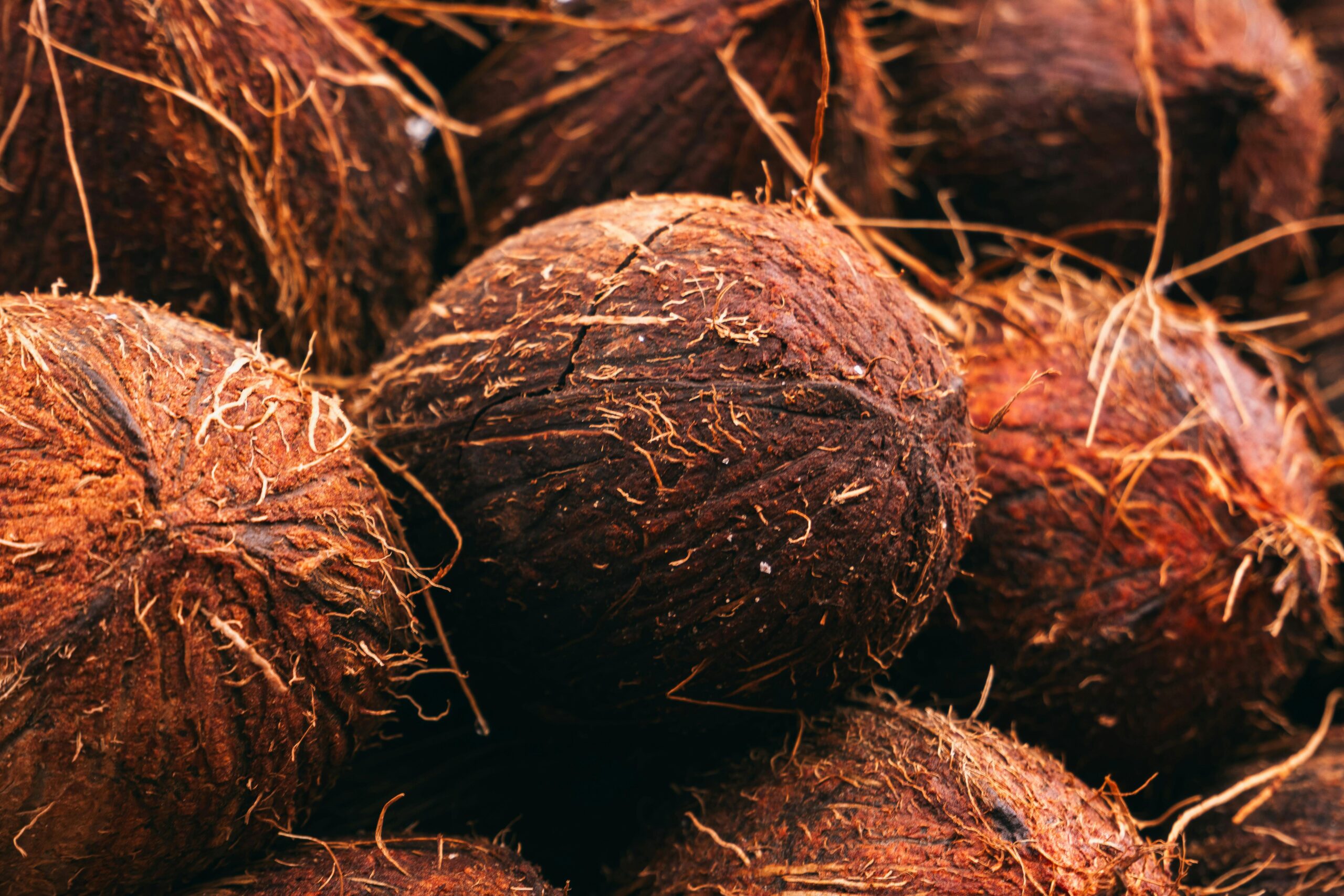 Invesco EUR AT1 CoCo Bond UCITS ETF (ATE1 ETF) med IE000VVC8KW9, strävar efter att ge aktieägaren en målavkastning kopplat till avkastningen för ett referensindex eller en referenstillgång genom att direkt eller indirekt köpa en portfölj av överlåtbara värdepapper som kan (men inte är skyldig att) bestå av alla eller ett representativt urval av de beståndsdelar som ingår i det referensindexet eller den referenstillgången.