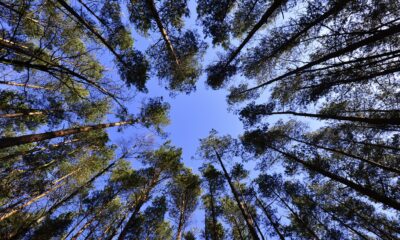 WisdomTree, en global finansiell innovatör, har idag tillkännagivit lanseringen av WisdomTree Tech Megatrends UCITS ETF (WTMT), som ger diversifierad exponering mot åtta teknikteman. ETF:n syftar till att följa pris- och avkastningsutvecklingen, före avgifter och kostnader, för WisdomTree Tech Megatrends Equity UCITS Index ("Indexet") och har en total kostnadsratio (TER) på 0,50 %. WTMT, noterad idag på Börse Xetra, Borsa Italiana, Euronext Paris och SIX, den schweiziska börsen, och kommer att noteras på Londonbörsen den 26 mars 2026.