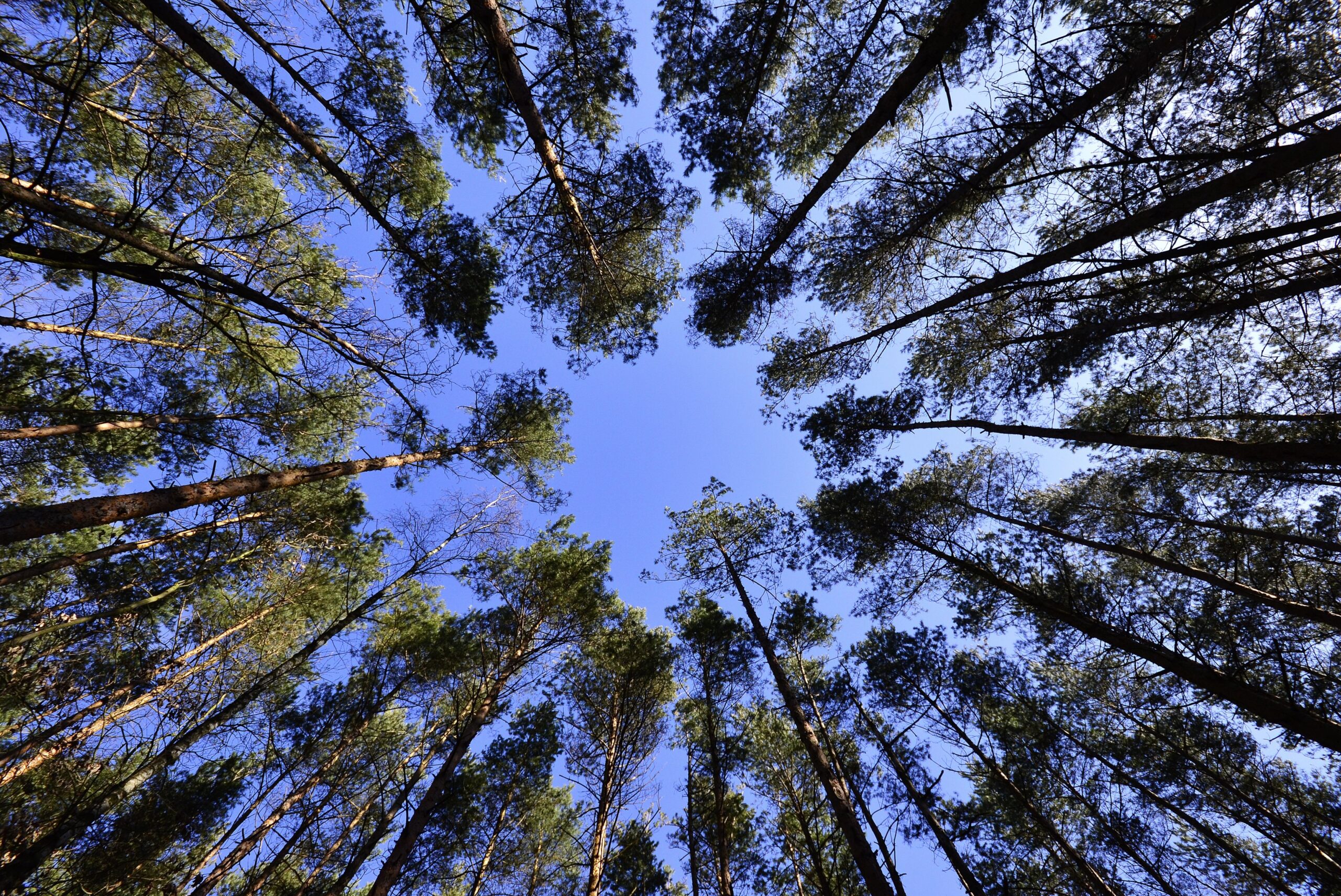 WisdomTree, en global finansiell innovatör, har idag tillkännagivit lanseringen av WisdomTree Tech Megatrends UCITS ETF (WTMT), som ger diversifierad exponering mot åtta teknikteman. ETF:n syftar till att följa pris- och avkastningsutvecklingen, före avgifter och kostnader, för WisdomTree Tech Megatrends Equity UCITS Index ("Indexet") och har en total kostnadsratio (TER) på 0,50 %. WTMT, noterad idag på Börse Xetra, Borsa Italiana, Euronext Paris och SIX, den schweiziska börsen, och kommer att noteras på Londonbörsen den 26 mars 2026.