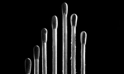 WisdomTree Tech Megatrends UCITS ETF investerar i en portfölj av globala företag som driver megatrenden "Teknologisk förändring". Detta inkluderar företag från områden som artificiell intelligens, blockkedjeteknik, molntjänster, cybersäkerhet och kvantberäkning.