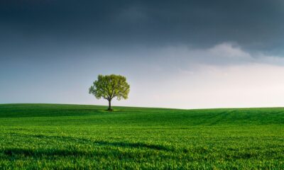 WisdomTree har idag tillkännagivit lanseringen av WisdomTree True Emerging Markets UCITS ETF (WEMT). WEM syftar till att följa pris- och avkastningsutvecklingen, före avgifter och kostnader, för WisdomTree True Emerging Markets UCITS Index ("Indexet") och har en total kostnadskvot (TER) på 0,25 %. WEM noterades idag på Börse Xetra, Borsa Italiana, Euronext Paris och SIX Swiss Exchange, och kommer att noteras på Londonbörsen den 16 april 2026.