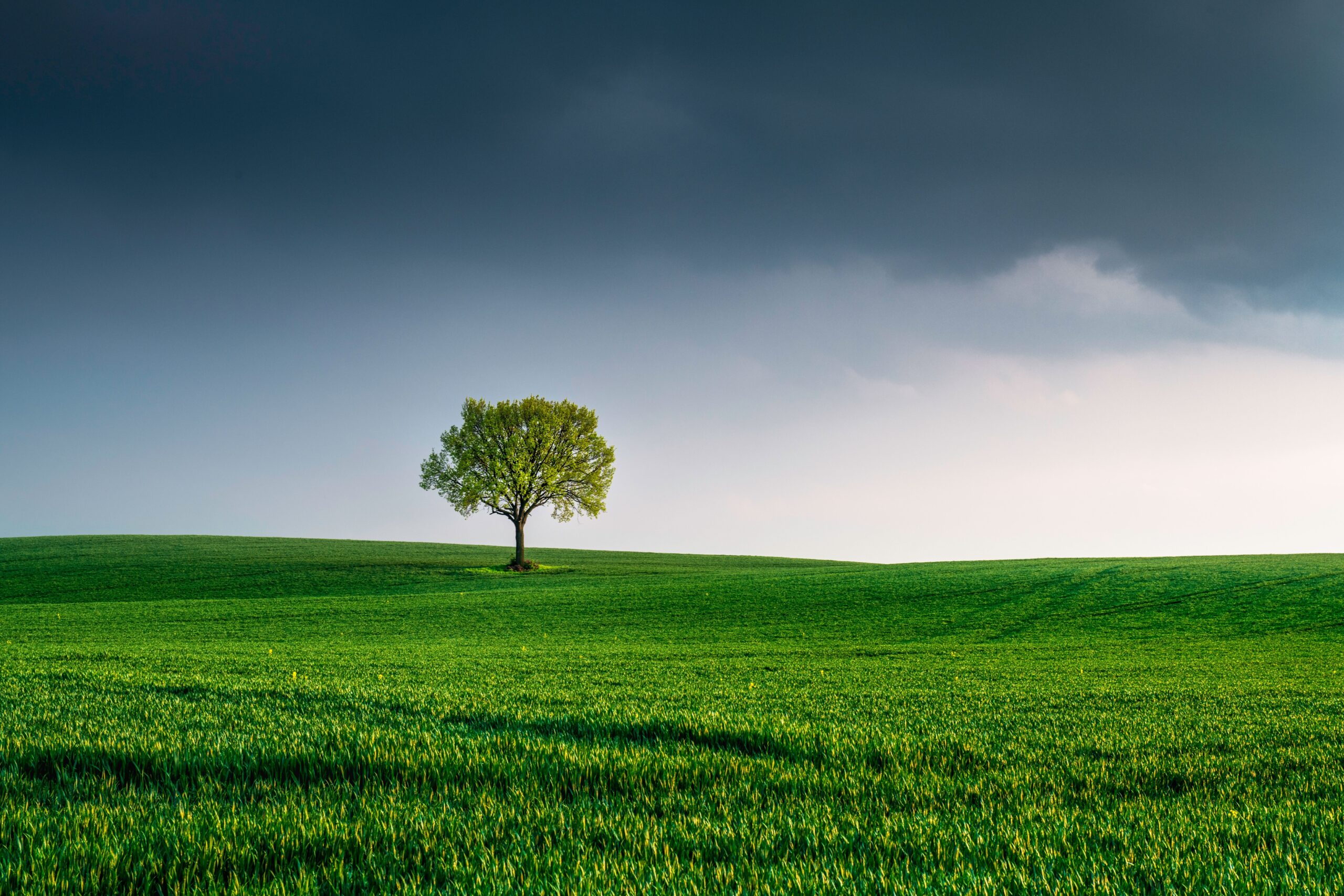 WisdomTree har idag tillkännagivit lanseringen av WisdomTree True Emerging Markets UCITS ETF (WEMT). WEM syftar till att följa pris- och avkastningsutvecklingen, före avgifter och kostnader, för WisdomTree True Emerging Markets UCITS Index ("Indexet") och har en total kostnadskvot (TER) på 0,25 %. WEM noterades idag på Börse Xetra, Borsa Italiana, Euronext Paris och SIX Swiss Exchange, och kommer att noteras på Londonbörsen den 16 april 2026.
