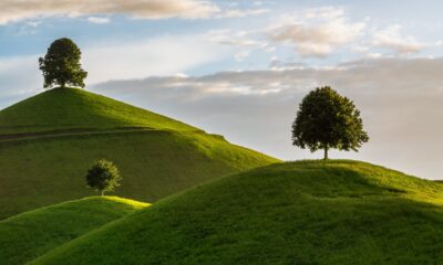 WisdomTree True Emerging Markets UCITS ETF syftar till att följa utvecklingen för medelstora och stora aktier från specifikt utvalda tillväxtmarknader som uppfyller definitionen av "True Emerging Markets". Länder väljs ut med hjälp av ett flerstegsutvärderingsramverk som beaktar makroekonomiska indikatorer som BNP per capita, statlig kreditvärdighet och tillgängligheten och omsättningsbarheten på den lokala aktiemarknaden. Företag som är förknippade med kontroversiella vapen exkluderas.