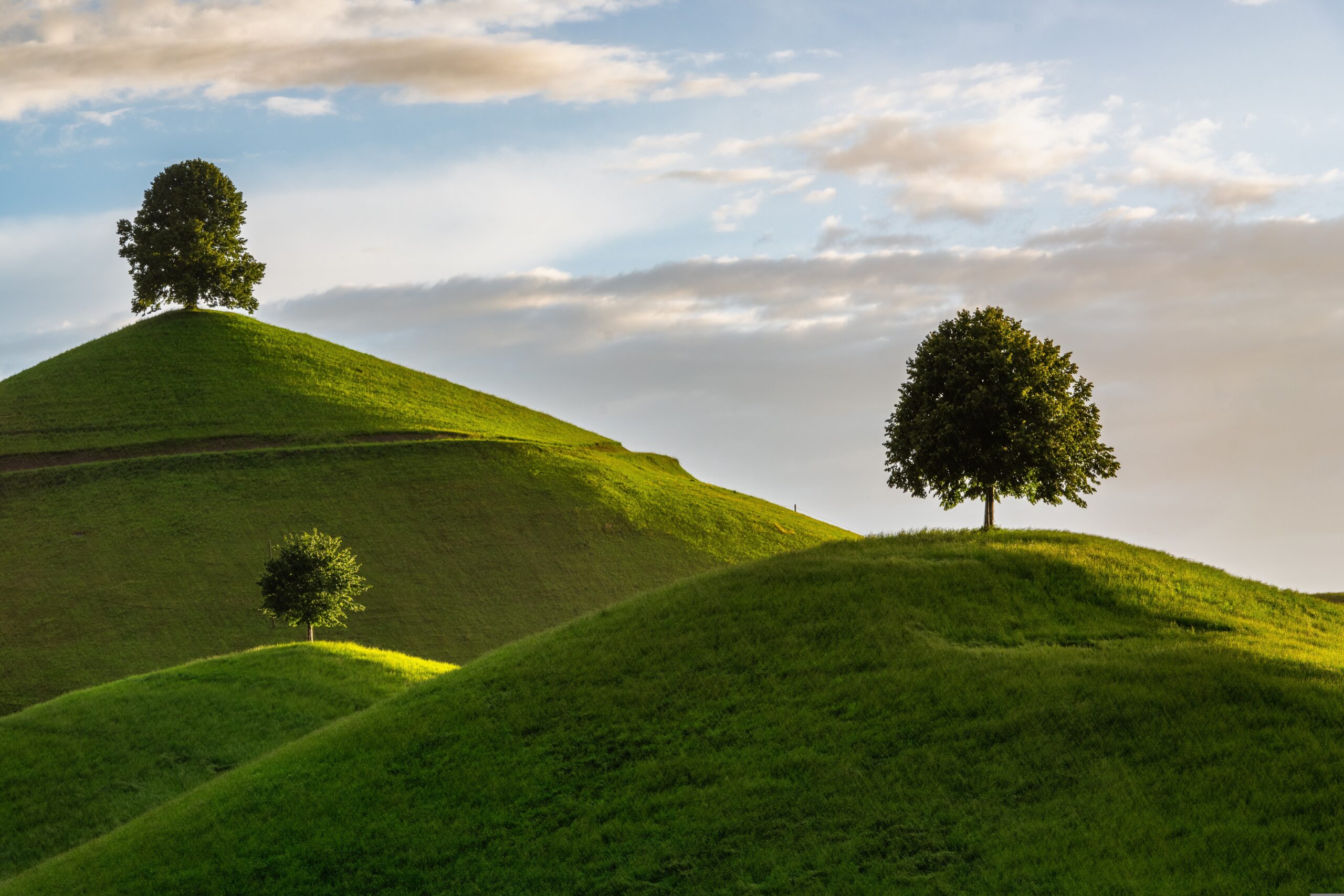 WisdomTree True Emerging Markets UCITS ETF syftar till att följa utvecklingen för medelstora och stora aktier från specifikt utvalda tillväxtmarknader som uppfyller definitionen av "True Emerging Markets". Länder väljs ut med hjälp av ett flerstegsutvärderingsramverk som beaktar makroekonomiska indikatorer som BNP per capita, statlig kreditvärdighet och tillgängligheten och omsättningsbarheten på den lokala aktiemarknaden. Företag som är förknippade med kontroversiella vapen exkluderas.