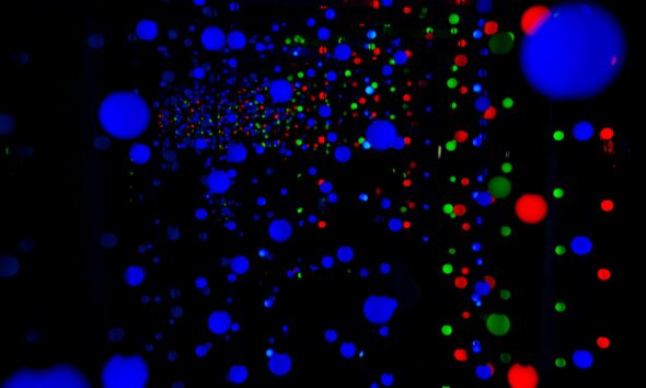 Tror du att alla kvantdator-ETFer är likadana? Tänk om. Vi analyserar de extrema avkastningsskillnaderna mellan Europas Quantum-ETFer och förklarar varför du måste titta under huven innan du investerar.